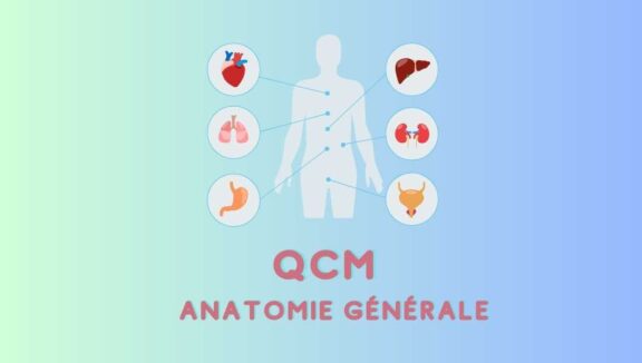 QCM anatomie générale